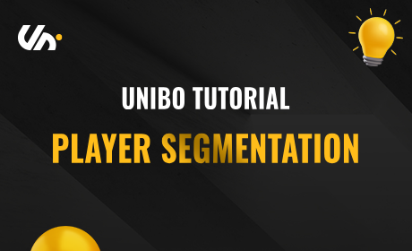 Unibo Player Segementation